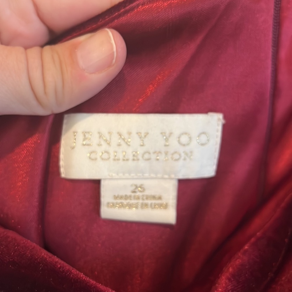 Size 26 velvet dress dark berry by Jenny Yoo - Picture 5 of 9